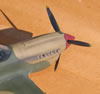 Hasegawa 1/32 P-40E Warhawk by Tolga Ulgur: Image