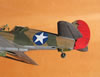 Hasegawa 1/32 P-40E Warhawk by Tolga Ulgur: Image