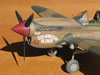 Hasegawa 1/32 P-40E Warhawk by Tolga Ulgur: Image