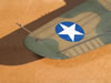 Hasegawa 1/32 P-40E Warhawk by Tolga Ulgur: Image