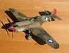 Hasegawa 1/32 P-40E Warhawk by Tolga Ulgur: Image