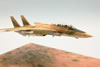 Italeri 1/72 F-1A Tomcat by Roland Sachsenhofer: Image