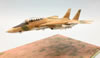 Italeri 1/72 F-1A Tomcat by Roland Sachsenhofer: Image