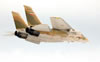 Italeri 1/72 F-1A Tomcat by Roland Sachsenhofer: Image