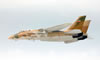 Italeri 1/72 F-1A Tomcat by Roland Sachsenhofer: Image