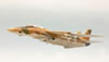 Italeri 1/72 F-1A Tomcat by Roland Sachsenhofer: Image