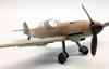 Eduard 1/48 Bf 109 G-10- Trieste Crisis by Roland Sachsenhofer: Image