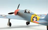 Hasegawa 1/48 Fw 190 A-5 325th FG by Roland Sachsenhofer: Image