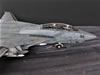 F-14A Tomcat: Image