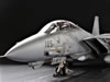 F-14A Tomcat: Image