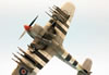 Hasegawa 1/48 Hawker Typhoon: Image