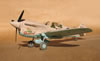 Hasegawa 1/32 P-40N Warhawk by Tolga Ulgur: Image