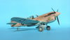 Hasegawa 1/32 P-40N Warhawk by Tolga Ulgur: Image