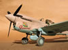 Hasegawa 1/32 P-40N Warhawk by Tolga Ulgur: Image