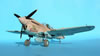 Hasegawa 1/32 P-40N Warhawk by Tolga Ulgur: Image