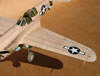 Hasegawa 1/32 P-40N Warhawk by Tolga Ulgur: Image