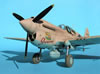 Hasegawa 1/32 P-40N Warhawk by Tolga Ulgur: Image