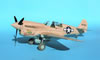 Hasegawa 1/32 P-40N Warhawk by Tolga Ulgur: Image