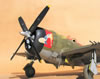 Hasegawa 1/32 P-47D-25 by Tolga Ulgur: Image