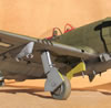 Hasegawa 1/32 P-47D-25 by Tolga Ulgur: Image