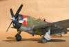 Hasegawa 1/32 P-47D-25 by Tolga Ulgur: Image