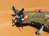 Hasegawa 1/32 P-47D-25 by Tolga Ulgur: Image