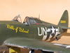 Trumpeter 1/32 P-47D-22 by Tolga Ulgur: Image