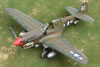 Hasegawa 1/48 P-40N Warhawk by Peter Kormos: Image