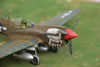 Hasegawa 1/48 P-40N Warhawk by Peter Kormos: Image