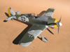 Hasegawa 1/32 Fw 190 F-8 by Tolga Ulgur: Image