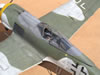 Hasegawa 1/32 Fw 190 F-8 by Tolga Ulgur: Image