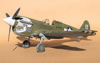 Hasegawa 1/32 P-40N-1 "Dikan Death" by Tolga Ulgur: Image