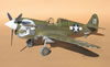 Hasegawa 1/32 P-40N-1 "Dikan Death" by Tolga Ulgur: Image