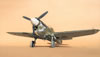 Hasegawa 1/32 P-40N-1 "Dikan Death" by Tolga Ulgur: Image