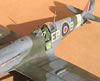 Hasegawa / Paragon 1/32 Supermarine Spitfire Mk.XII by Tolga Ulgur: Image