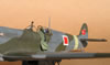 Tamiya 1/32 Spitfire Mk.IXe by Tolga Ulgur: Image