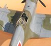 Tamiya 1/32 Spitfire Mk.IXe by Tolga Ulgur: Image