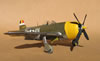 Hasegawa 1/32 P-47D-28 "Frigid Midgit" by Tolga Ulgur: Image