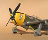 Hasegawa 1/32 P-47D-28 "Frigid Midgit" by Tolga Ulgur: Image