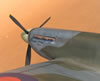 Hasegawa 1/32 Spitfire Va by Tolga Ulgur: Image