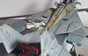 Hasegawa 1/72 Grumman F-14D Tomcat by Goran Djordjevic: Image