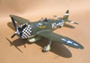 Hasegawa 1/32 P-47D-28 "Eileen" by Tolga Ulgur: Image