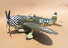 Hasegawa 1/32 P-47D-28 "Eileen" by Tolga Ulgur: Image