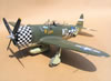 Hasegawa 1/32 P-47D-28 "Eileen" by Tolga Ulgur: Image