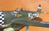 Hasegawa 1/32 P-47D-28 "Eileen" by Tolga Ulgur: Image