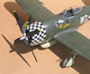 Hasegawa 1/32 P-47D-28 "Eileen" by Tolga Ulgur: Image