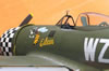 Hasegawa 1/32 P-47D-28 "Eileen" by Tolga Ulgur: Image