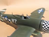 Hasegawa 1/32 P-47D-28 "Eileen" by Tolga Ulgur: Image