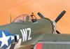 Hasegawa 1/32 P-47D-28 "Eileen" by Tolga Ulgur: Image