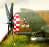 Tamiya 1/48 P-47D Razorback by Mark Danko: Image